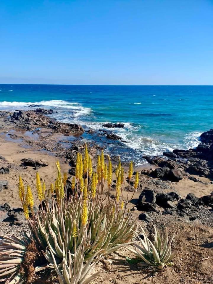 Casa Florida Villa Puerto del Carmen  Dış mekan fotoğraf